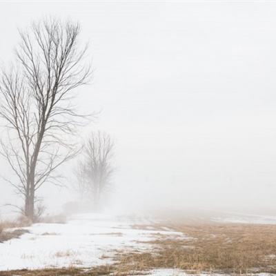 bob体育APP下载链接